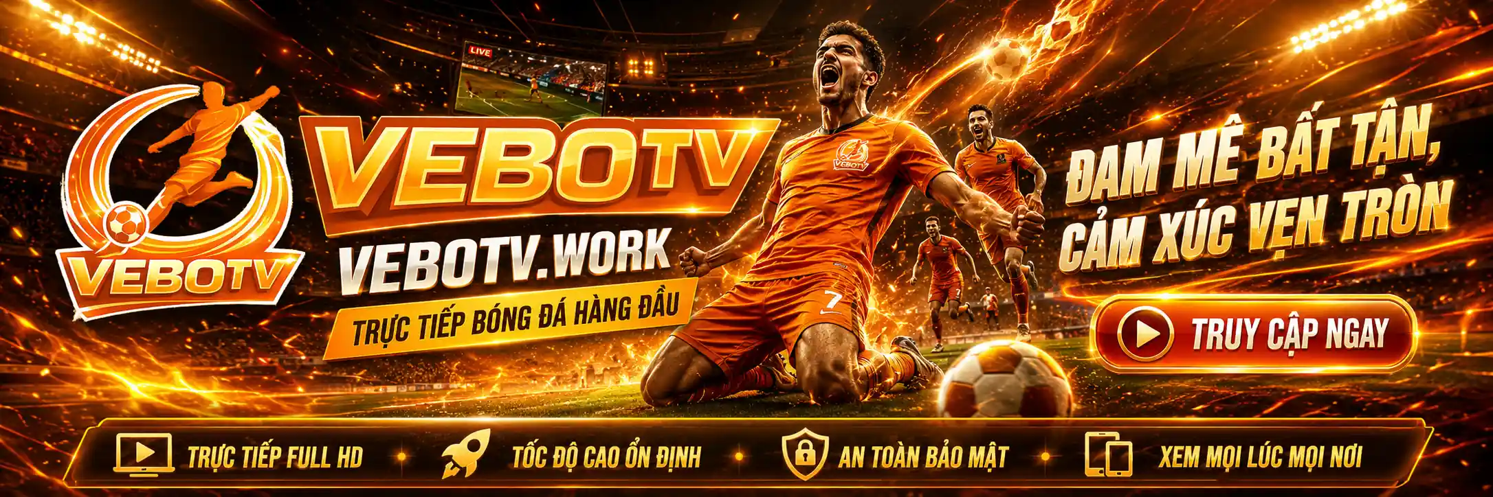 banner-vebotv