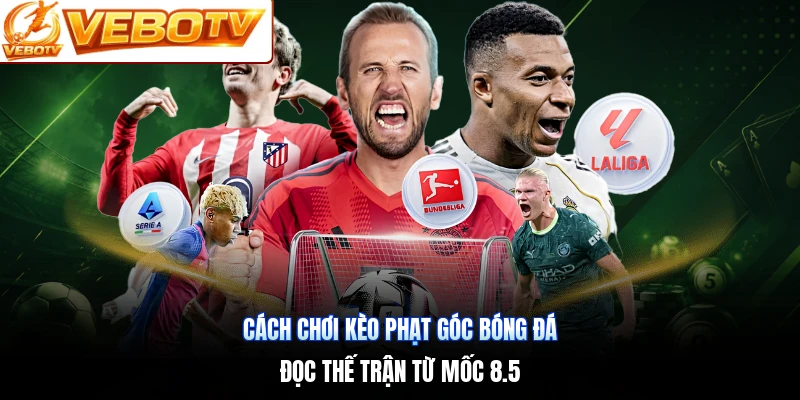 Cách Chơi Kèo Phạt Góc Bóng Đá | Đọc Thế Trận Từ Mốc 8.5