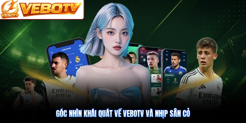 Góc nhìn khái quát về VeboTV và nhịp sân cỏ